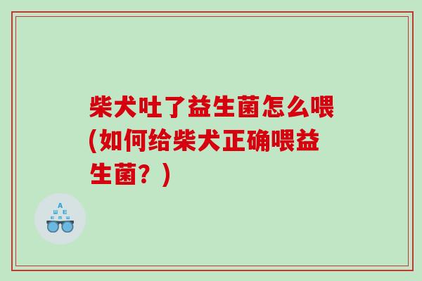 柴犬吐了益生菌怎么喂(如何给柴犬正确喂益生菌？)