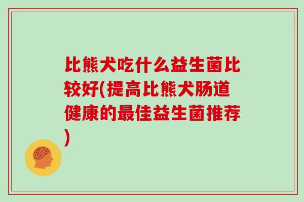 比熊犬吃什么益生菌比较好(提高比熊犬肠道健康的佳益生菌推荐)