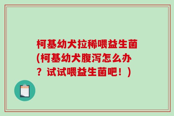 柯基幼犬拉稀喂益生菌(柯基幼犬怎么办？试试喂益生菌吧！)