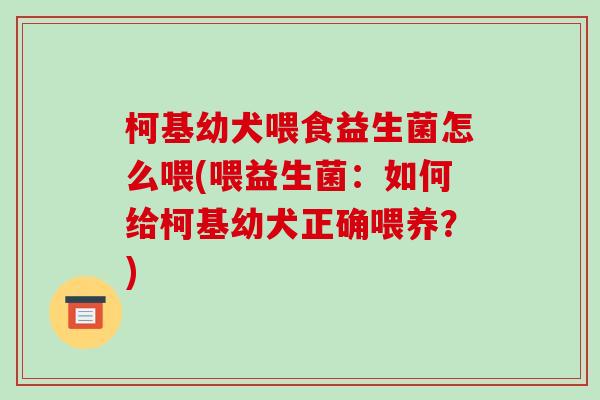 柯基幼犬喂食益生菌怎么喂(喂益生菌：如何给柯基幼犬正确喂养？)