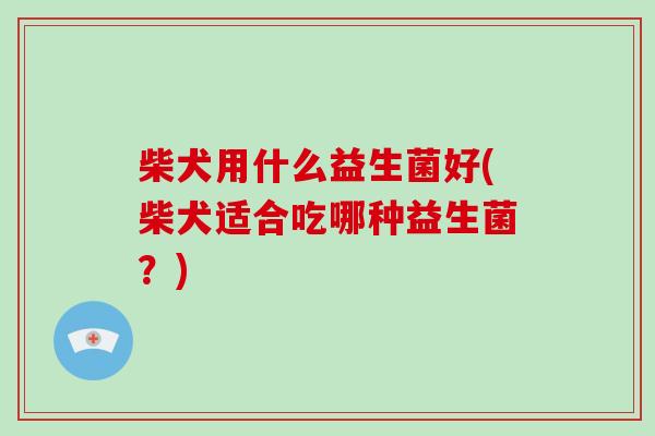 柴犬用什么益生菌好(柴犬适合吃哪种益生菌？)