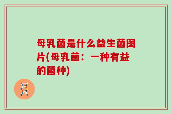 母乳菌是什么益生菌图片(母乳菌：一种有益的菌种)
