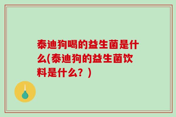 泰迪狗喝的益生菌是什么(泰迪狗的益生菌饮料是什么？)