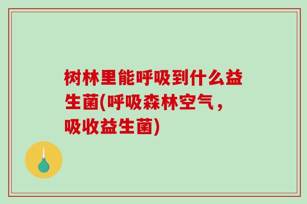 树林里能呼吸到什么益生菌(呼吸森林空气，吸收益生菌)