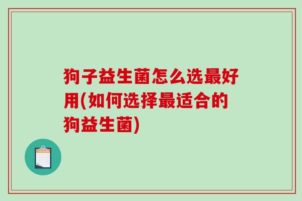狗子益生菌怎么选最好用(如何选择最适合的狗益生菌)