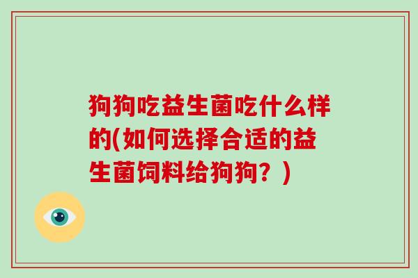 狗狗吃益生菌吃什么样的(如何选择合适的益生菌饲料给狗狗?) 狗狗吃益生菌吃什么样的(如何选择合适的益生菌饲料给狗狗?)