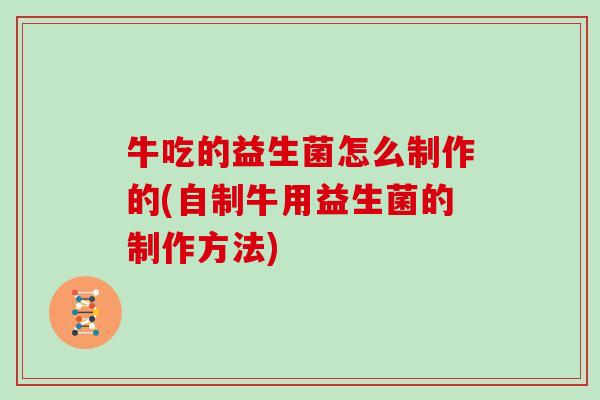 牛吃的益生菌怎么制作的(自制牛用益生菌的制作方法)