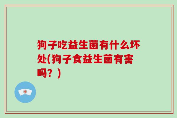 狗子吃益生菌有什么坏处(狗子食益生菌有害吗？)