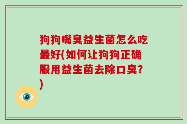 狗狗嘴臭益生菌怎么吃最好(如何让狗狗正确服用益生菌去除口臭？)