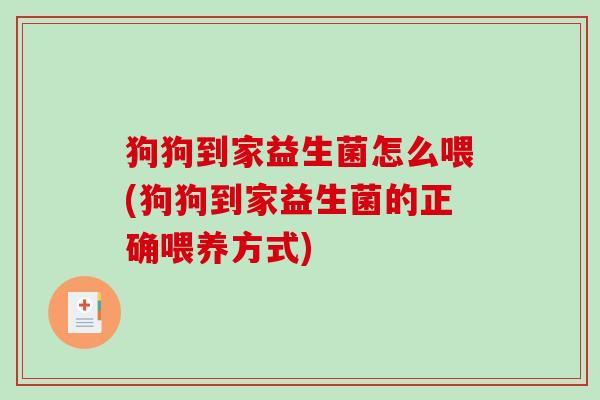 狗狗到家益生菌怎么喂(狗狗到家益生菌的正确喂养方式)