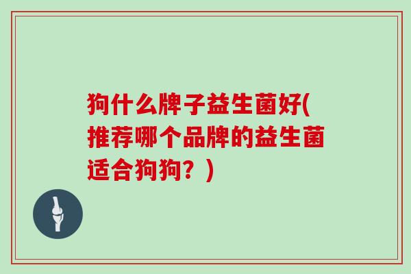 狗什么牌子益生菌好(推荐哪个品牌的益生菌适合狗狗？)