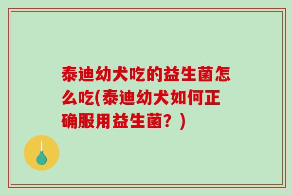 泰迪幼犬吃的益生菌怎么吃(泰迪幼犬如何正确服用益生菌？)