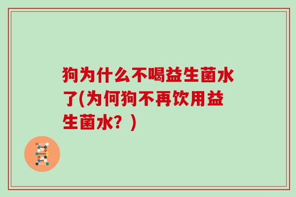 狗为什么不喝益生菌水了(为何狗不再饮用益生菌水?) 狗为什么不喝益生菌水了(为何狗不再饮用益生菌水?)