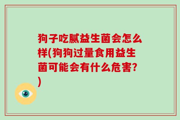 狗子吃腻益生菌会怎么样(狗狗过量食用益生菌可能会有什么危害？)