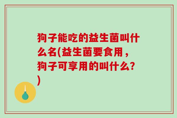 狗子能吃的益生菌叫什么名(益生菌要食用，狗子可享用的叫什么？)