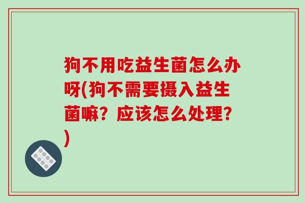 狗不用吃益生菌怎么办呀(狗不需要摄入益生菌嘛？应该怎么处理？)