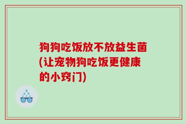 狗狗吃饭放不放益生菌(让宠物狗吃饭更健康的小窍门)
