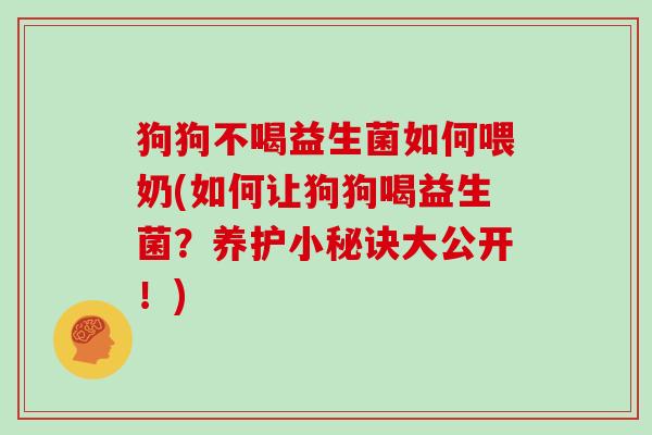 狗狗不喝益生菌如何喂奶(如何让狗狗喝益生菌？养护小秘诀大公开！)