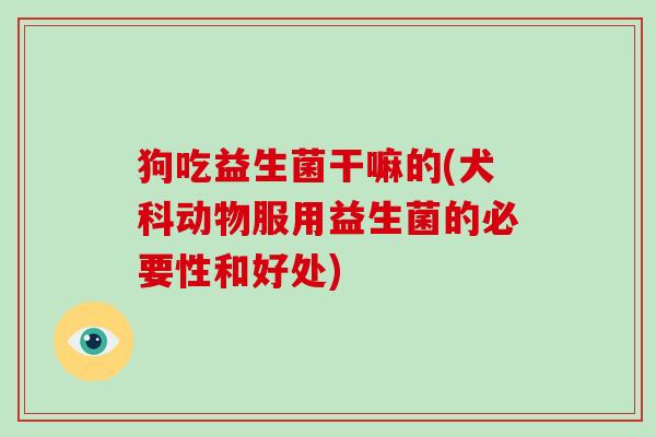 狗吃益生菌干嘛的(犬科动物服用益生菌的必要性和好处)
