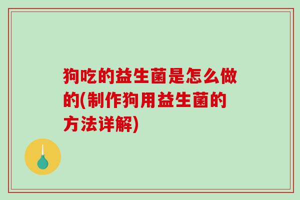 狗吃的益生菌是怎么做的(制作狗用益生菌的方法详解)