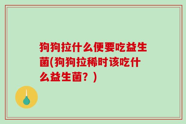 狗狗拉什么便要吃益生菌(狗狗拉稀时该吃什么益生菌？)