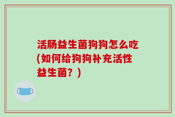 活肠益生菌狗狗怎么吃(如何给狗狗补充活性益生菌？)