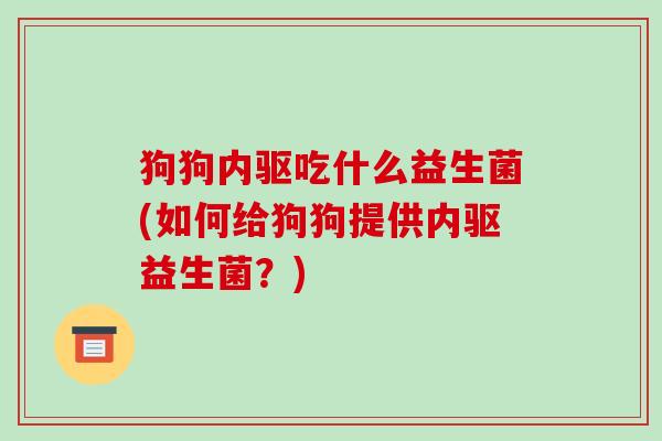 狗狗内驱吃什么益生菌(如何给狗狗提供内驱益生菌？)