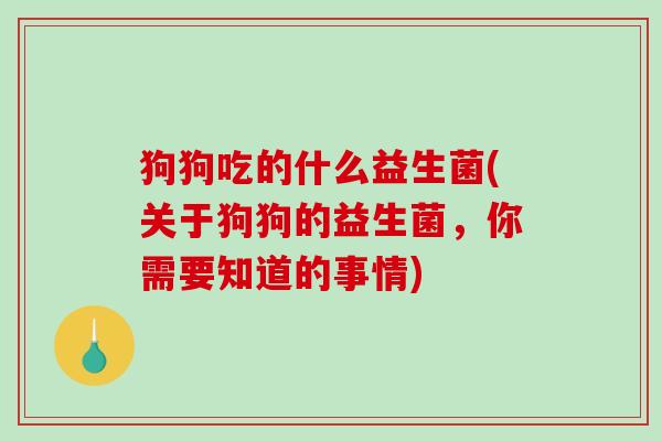 狗狗吃的什么益生菌(关于狗狗的益生菌，你需要知道的事情)