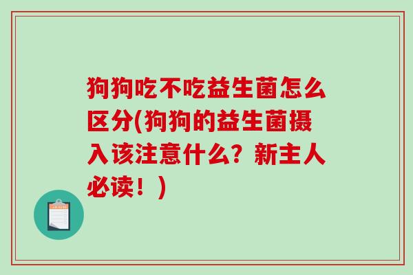 狗狗吃不吃益生菌怎么区分(狗狗的益生菌摄入该注意什么？新主人必读！)