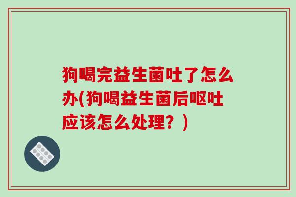 狗喝完益生菌吐了怎么办(狗喝益生菌后呕吐应该怎么处理？)