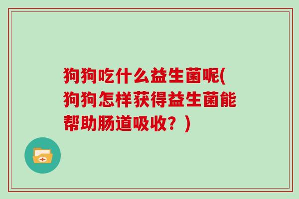 狗狗吃什么益生菌呢(狗狗怎样获得益生菌能帮助肠道吸收？)