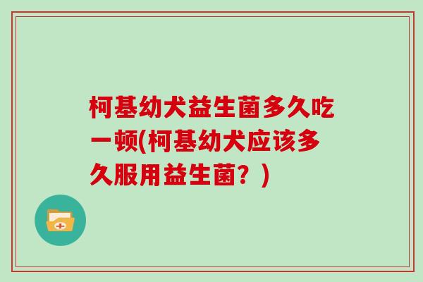 柯基幼犬益生菌多久吃一顿(柯基幼犬应该多久服用益生菌？)
