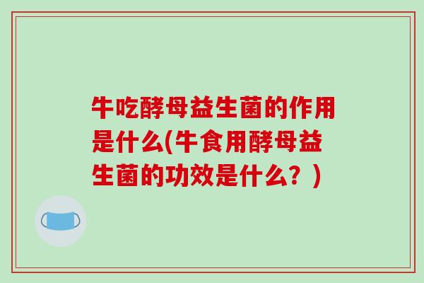 牛吃酵母益生菌的作用是什么(牛食用酵母益生菌的功效是什么？)