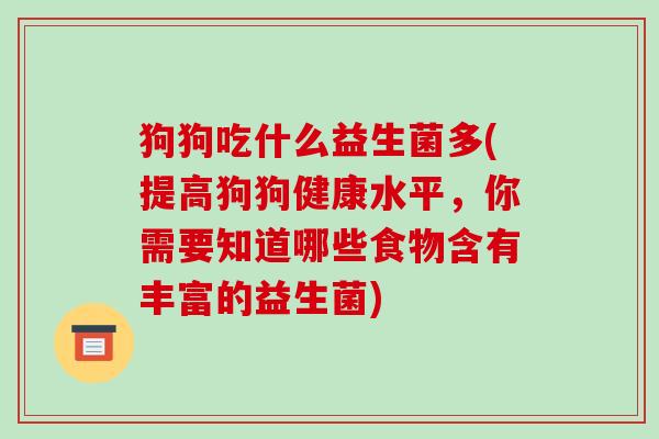 狗狗吃什么益生菌多(提高狗狗健康水平，你需要知道哪些食物含有丰富的益生菌)