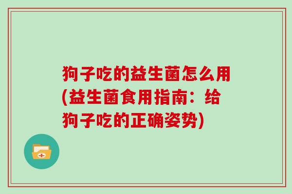 狗子吃的益生菌怎么用(益生菌食用指南:给狗子吃的正确姿势) 狗子吃的益生菌怎么用(益生菌食用指南:给狗子吃的正确姿势)