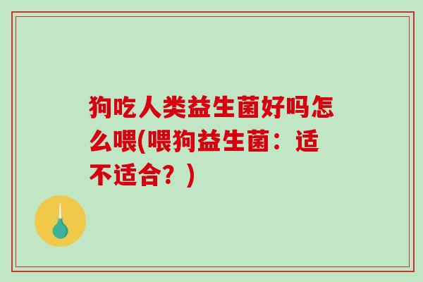 狗吃人类益生菌好吗怎么喂(喂狗益生菌：适不适合？)