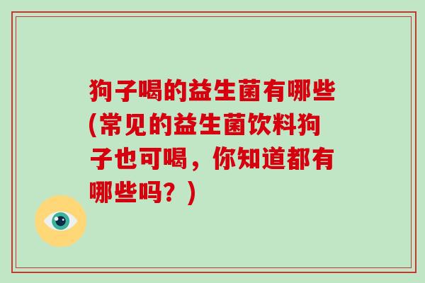 狗子喝的益生菌有哪些(常见的益生菌饮料狗子也可喝，你知道都有哪些吗？)