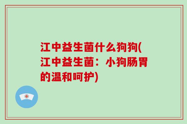 江中益生菌什么狗狗(江中益生菌：小狗肠胃的温和呵护)