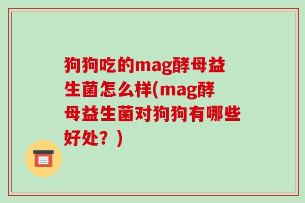 狗狗吃的mag酵母益生菌怎么样(mag酵母益生菌对狗狗有哪些好处？)