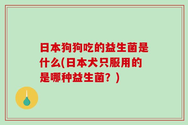 日本狗狗吃的益生菌是什么(日本犬只服用的是哪种益生菌？)