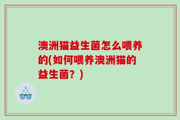 澳洲猫益生菌怎么喂养的(如何喂养澳洲猫的益生菌？)