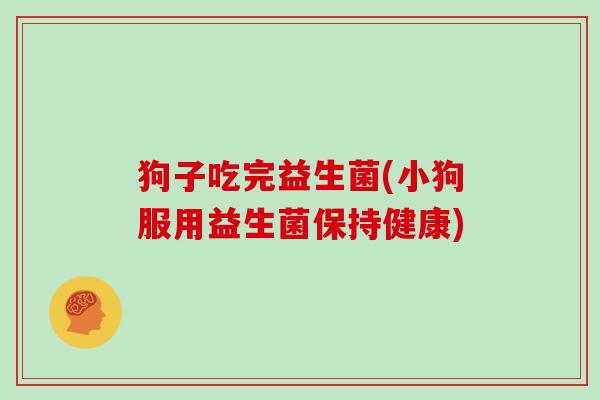 狗子吃完益生菌(小狗服用益生菌保持健康)