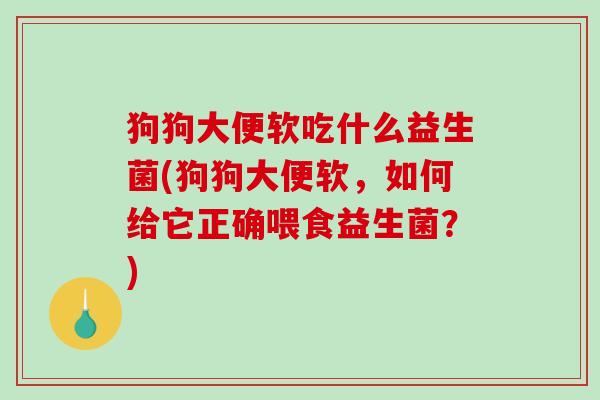狗狗大便软吃什么益生菌(狗狗大便软，如何给它正确喂食益生菌？)
