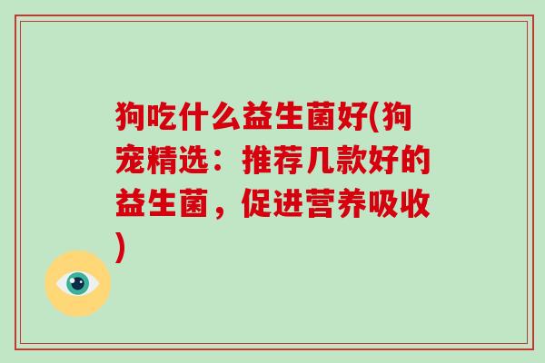 狗吃什么益生菌好(狗宠精选：推荐几款好的益生菌，促进营养吸收)