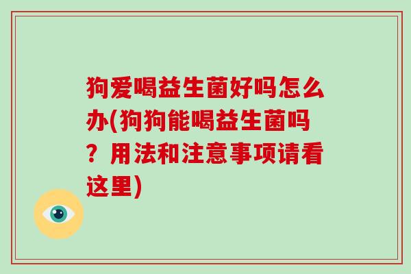 狗爱喝益生菌好吗怎么办(狗狗能喝益生菌吗？用法和注意事项请看这里)