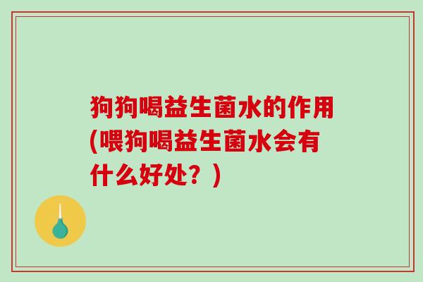 狗狗喝益生菌水的作用(喂狗喝益生菌水会有什么好处？)