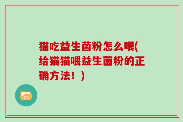 猫吃益生菌粉怎么喂(给猫猫喂益生菌粉的正确方法！)