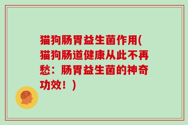 猫狗肠胃益生菌作用(猫狗肠道健康从此不再愁：肠胃益生菌的神奇功效！)
