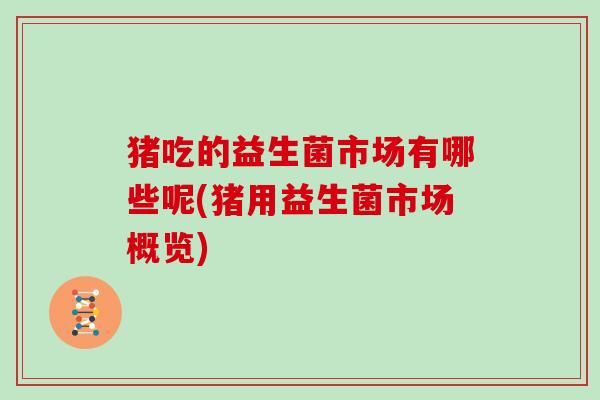 猪吃的益生菌市场有哪些呢(猪用益生菌市场概览)