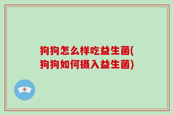 狗狗怎么样吃益生菌(狗狗如何摄入益生菌)